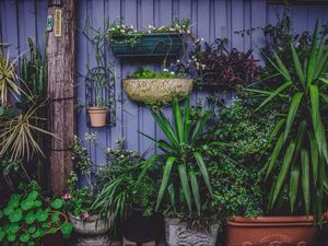 Preview wallpaper greenhouse, flowers, garden, pots
