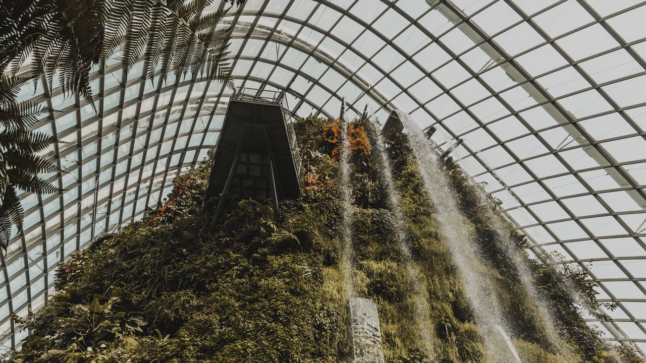 Wallpaper greenhouse, plants, waterfall, construction