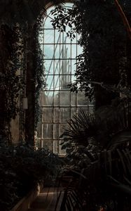 Preview wallpaper greenhouse, window, dark, plants, room