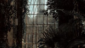 Preview wallpaper greenhouse, window, dark, plants, room