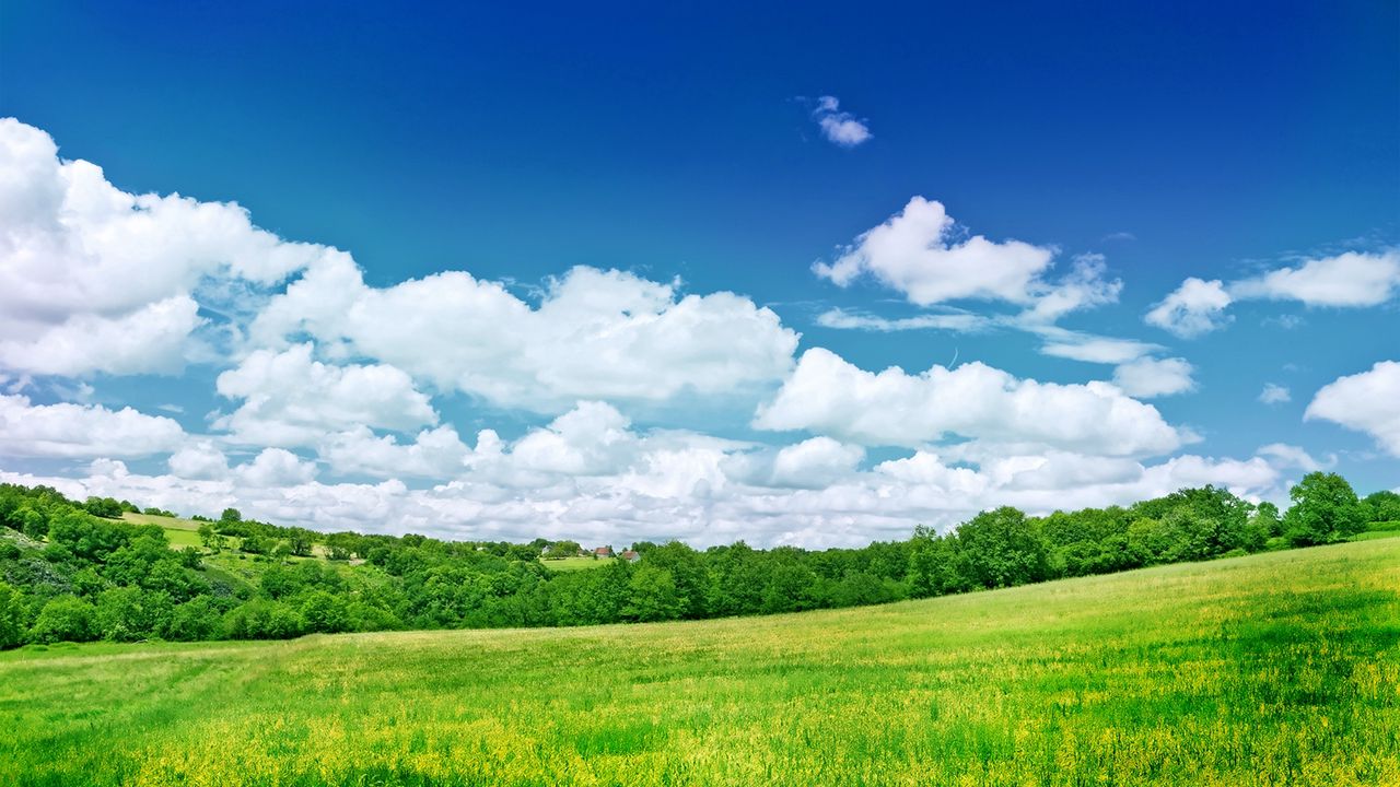Wallpaper greens, meadow, trees, clouds, colors