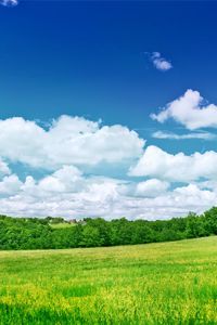 Preview wallpaper greens, meadow, trees, clouds, colors