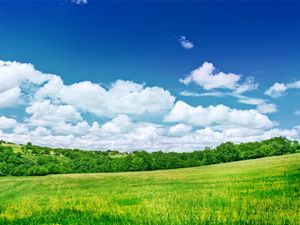 Preview wallpaper greens, meadow, trees, clouds, colors