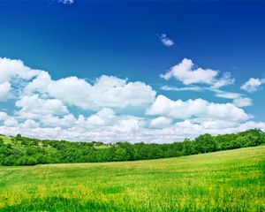 Preview wallpaper greens, meadow, trees, clouds, colors