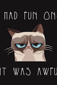 Preview wallpaper grumpy cat, cat, funny, sadness, grief