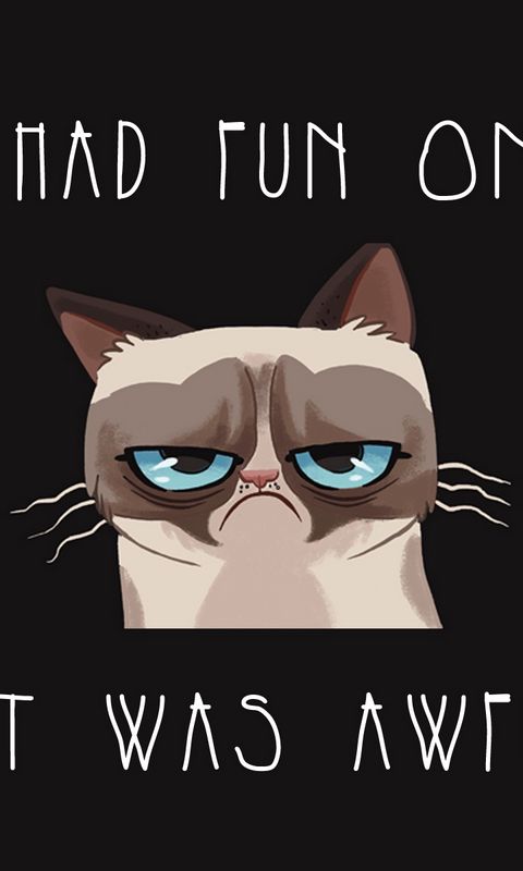 480x800 Wallpaper grumpy cat, cat, funny, sadness, grief