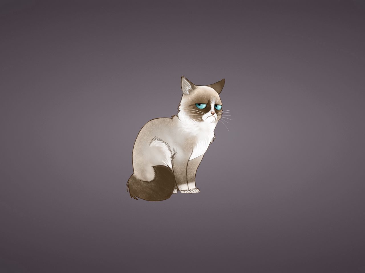 Download wallpaper 1280x960 grumpy cat, meme, cat standard 4:3 hd background