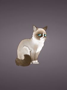 Preview wallpaper grumpy cat, meme, cat