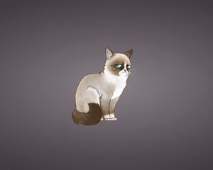 Preview wallpaper grumpy cat, meme, cat