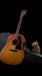Preview wallpaper guitar, cat, music, musical instrument, dark