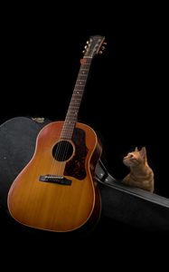 Preview wallpaper guitar, cat, music, musical instrument, dark
