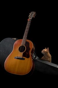 Preview wallpaper guitar, cat, music, musical instrument, dark