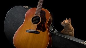 Preview wallpaper guitar, cat, music, musical instrument, dark