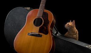 Preview wallpaper guitar, cat, music, musical instrument, dark