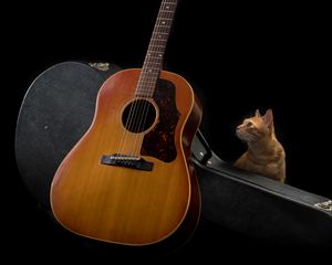 Preview wallpaper guitar, cat, music, musical instrument, dark