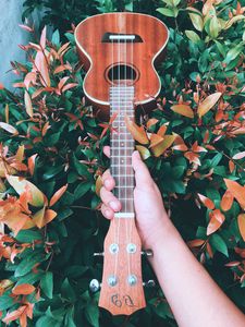 Preview wallpaper guitar, hand, bushes