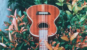 Preview wallpaper guitar, hand, bushes