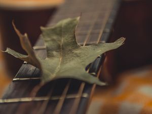 Preview wallpaper guitar, leaf, dry, green, macro