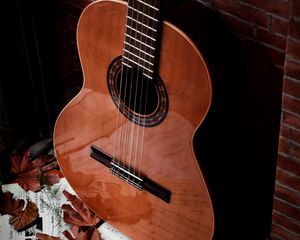 Preview wallpaper guitar, musical instrument, notebook, leaves, brown