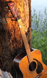 Preview wallpaper guitar, strings, music, tree, bark