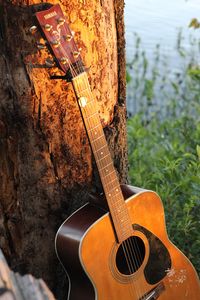 Preview wallpaper guitar, strings, music, tree, bark