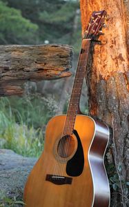 Preview wallpaper guitar, strings, tree, music