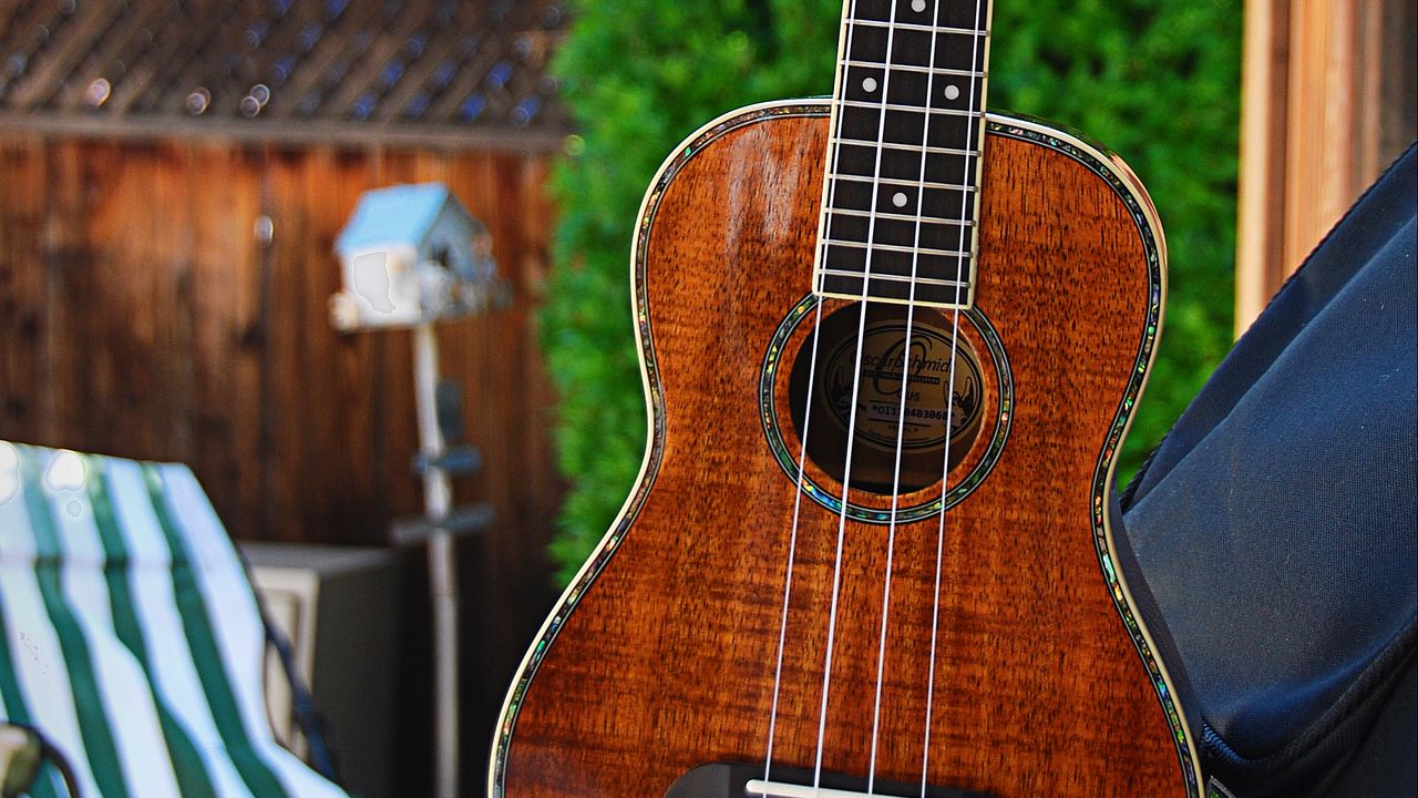 Wallpaper guitar, ukulele, strings, music, blur