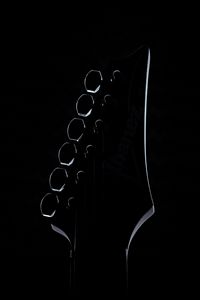 Preview wallpaper guitar, vulture, silhouette, black