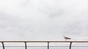 Preview wallpaper gull, railing, sea, sky