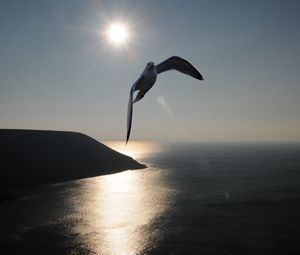 Preview wallpaper gull, sea, sky, silhouette, shadow, fly, swing