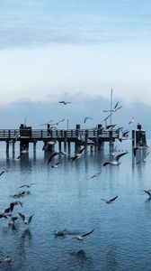 Preview wallpaper gulls, pier, sea, flight