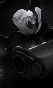 Preview wallpaper gun, weapon, flower, black and white