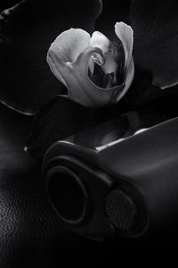 Preview wallpaper gun, weapon, flower, black and white