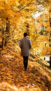 Preview wallpaper guy, coat, alone, park, trees, leaves, autumn
