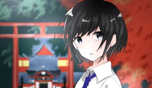 Preview wallpaper guy, glance, tie, anime, art