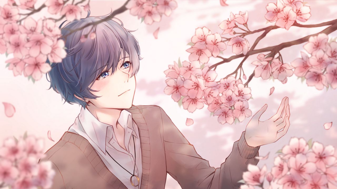 Wallpaper guy, sakura, flowers, anime, art