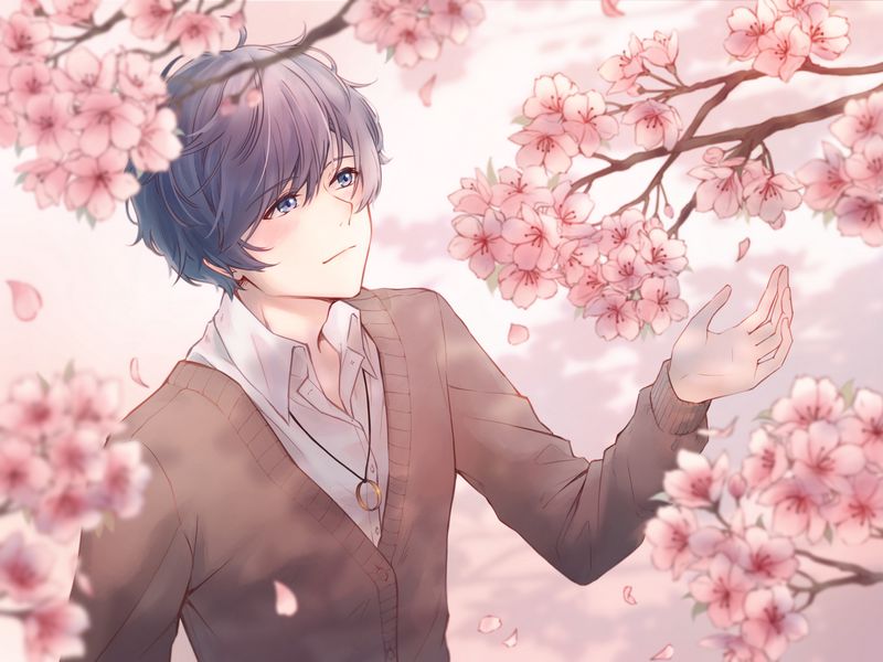 Download wallpaper 800x600 guy, sakura, flowers, anime, art pocket pc, pda  hd background