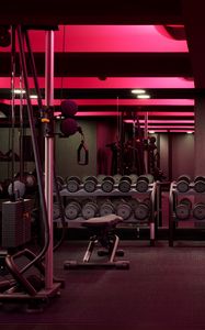 Preview wallpaper gym, dumbbells, inventory, mirror, lights