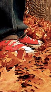 Preview wallpaper gym shoes, leaves, autumn