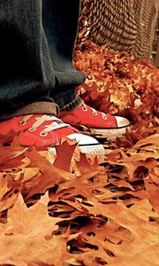 Preview wallpaper gym shoes, leaves, autumn