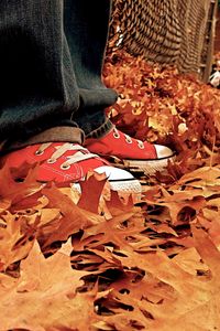 Preview wallpaper gym shoes, leaves, autumn