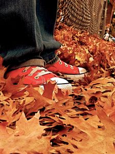 Preview wallpaper gym shoes, leaves, autumn