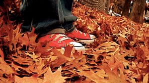 Preview wallpaper gym shoes, leaves, autumn