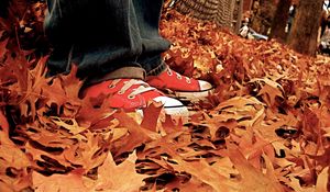 Preview wallpaper gym shoes, leaves, autumn