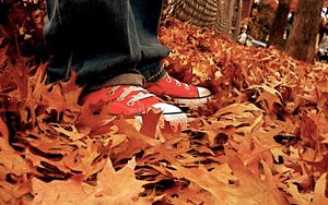 Preview wallpaper gym shoes, leaves, autumn