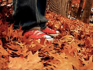 Preview wallpaper gym shoes, leaves, autumn