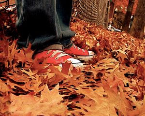 Preview wallpaper gym shoes, leaves, autumn