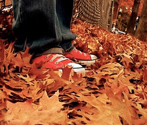 Preview wallpaper gym shoes, leaves, autumn