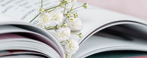 Preview wallpaper gypsophila, flowers, branch, book, pages