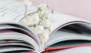 Preview wallpaper gypsophila, flowers, branch, book, pages